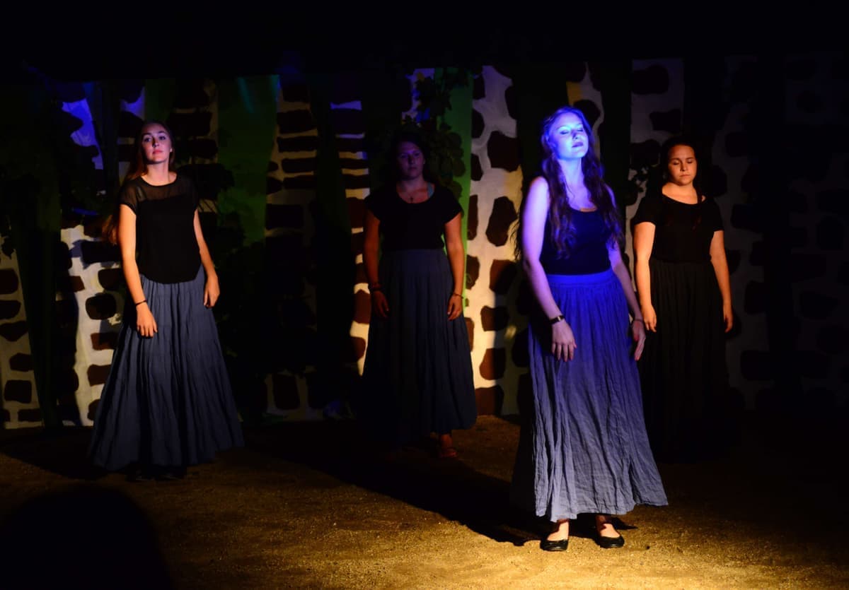 Die Magie des abendlichen Waldes