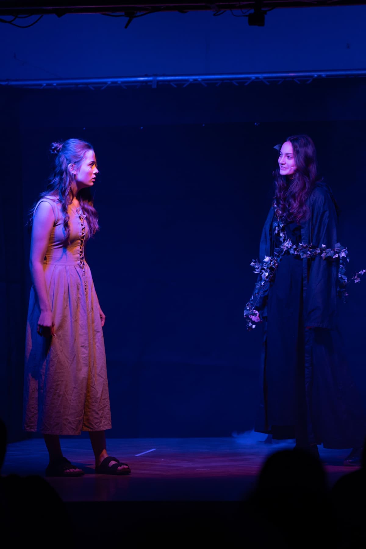 “Emma erfährt vom Waldgeist von den Machenschaften ihrer Schwestern.”